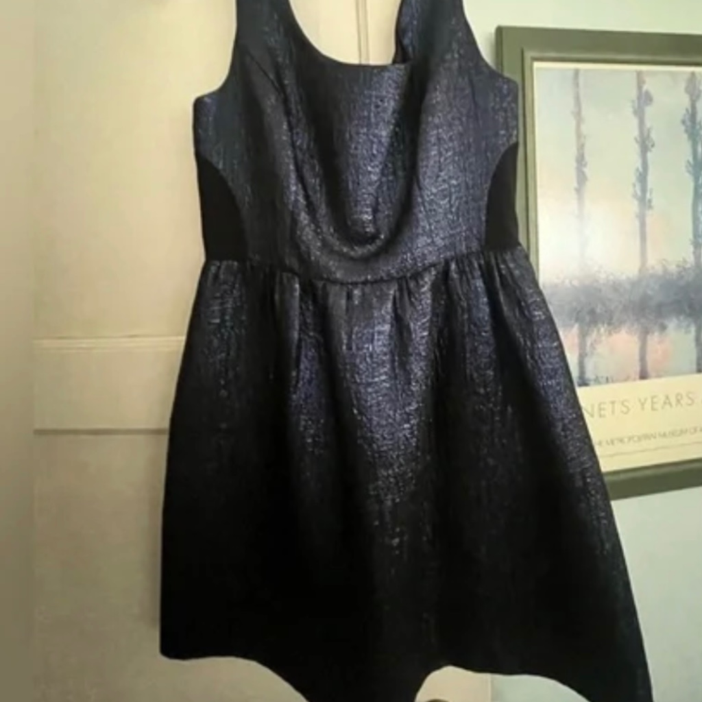 Navy Blue And Black Metallic Shoshanna Mini